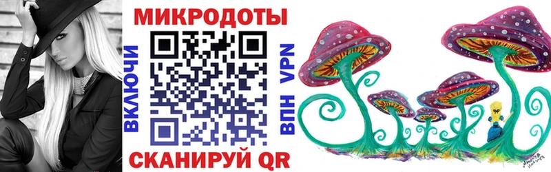 Купить  Алупка  Псилоцибиновые грибы Psilocybe 
