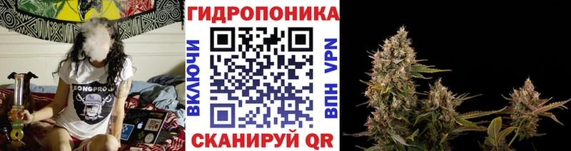 МАРИХУАНА сатива  Купить где  Алупка 